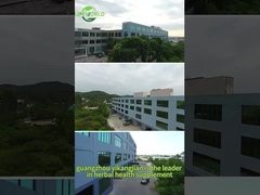 OEM 女性健康サプリメント レッドラズベリー葉 生殖前ビタミンサプリメント